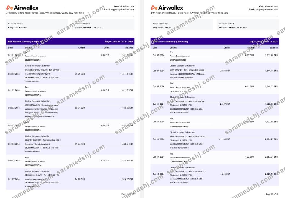 Hong Kong Airwallex Limited account statement, 18 pages 6